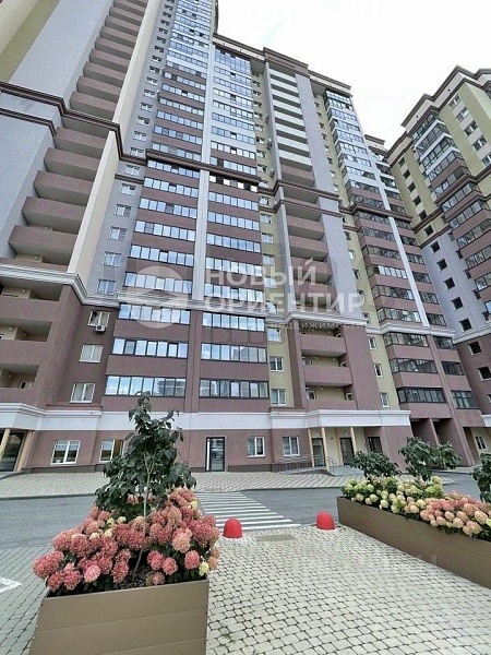 Объявление 221-11872