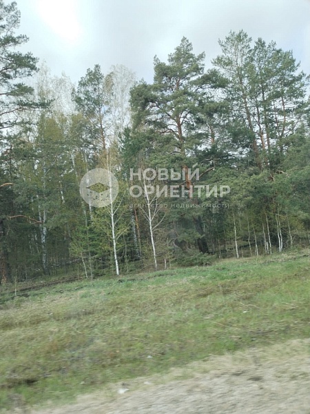Объявление 221-11694