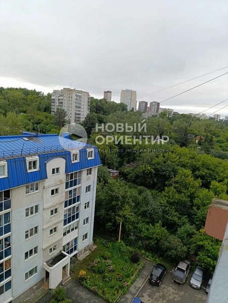 Объявление 221-11567