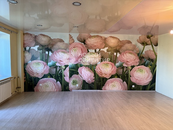 Объявление 221-11580