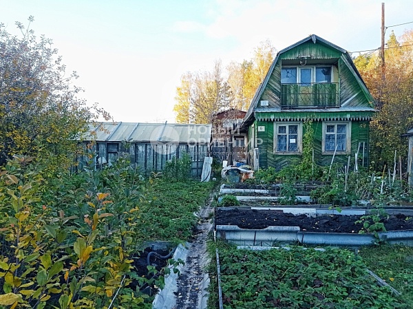 Объявление 221-10064