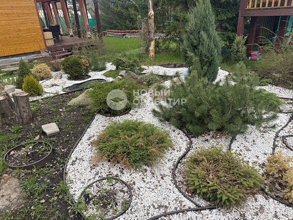 Объявление 221-10819