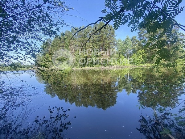 Объявление 221-11399