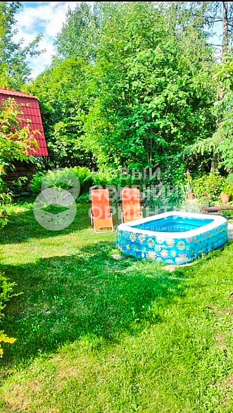 Объявление 221-10589