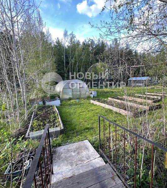 Объявление 221-12263