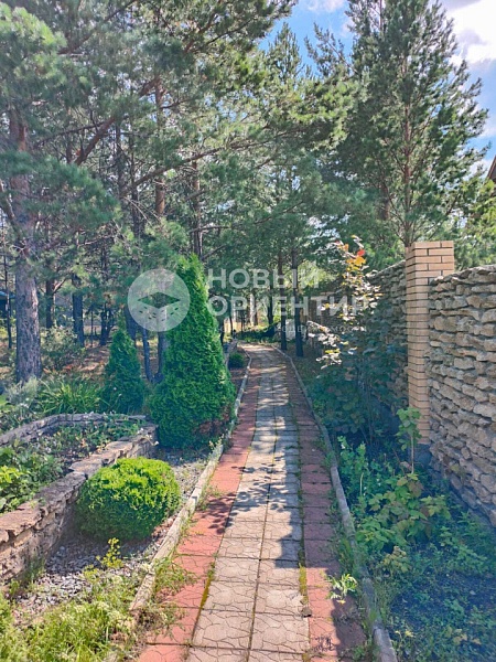 Объявление 221-10665