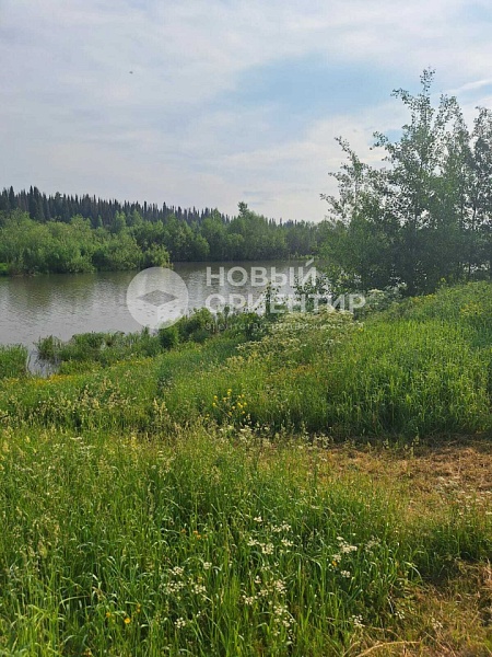 Объявление 221-11508