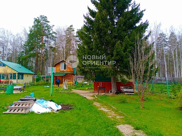 Объявление 221-10919