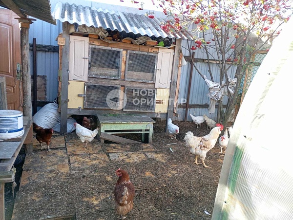 Объявление 221-11778