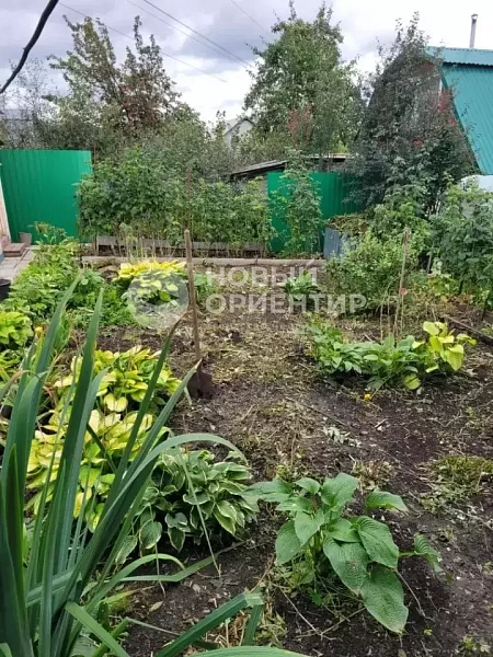 Объявление 221-12318