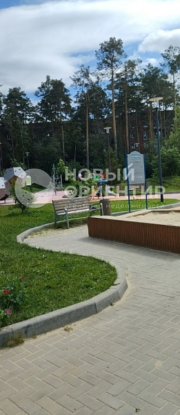 Объявление 221-11483