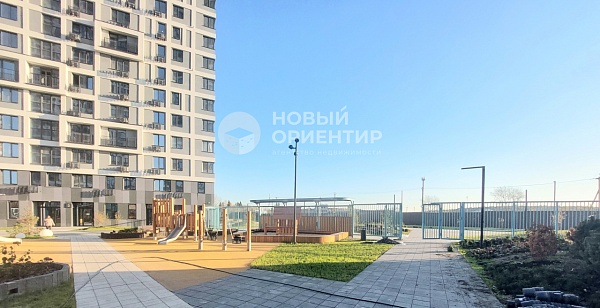 Объявление 221-11856