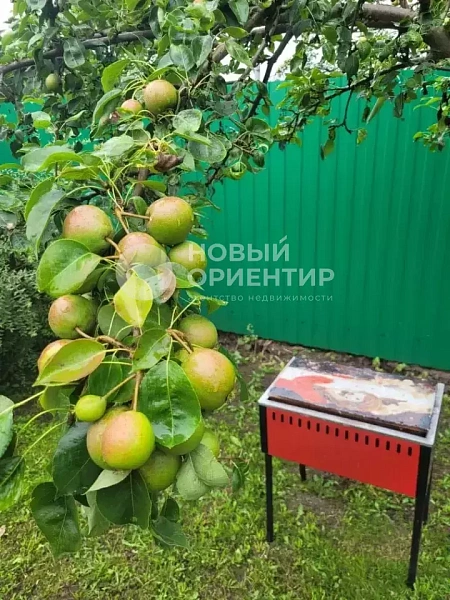 Объявление 221-12318