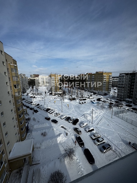 Объявление 221-12331