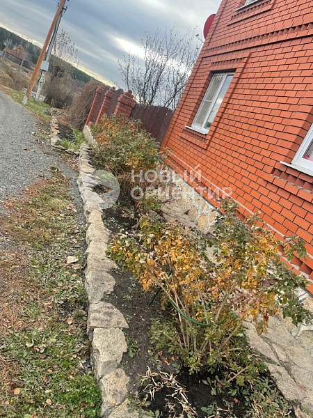 Объявление 221-10325