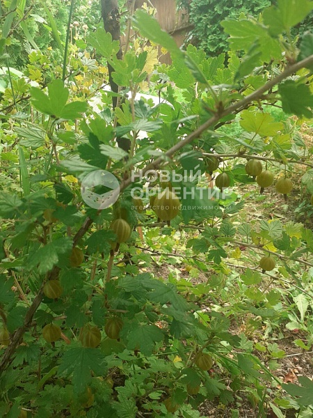 Объявление 221-11853