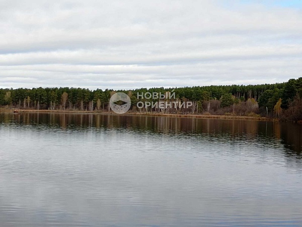 Объявление 221-11778