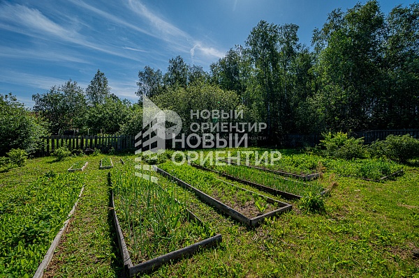 Объявление 221-9781