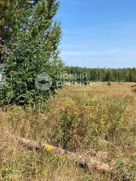 Объявление 221-10746