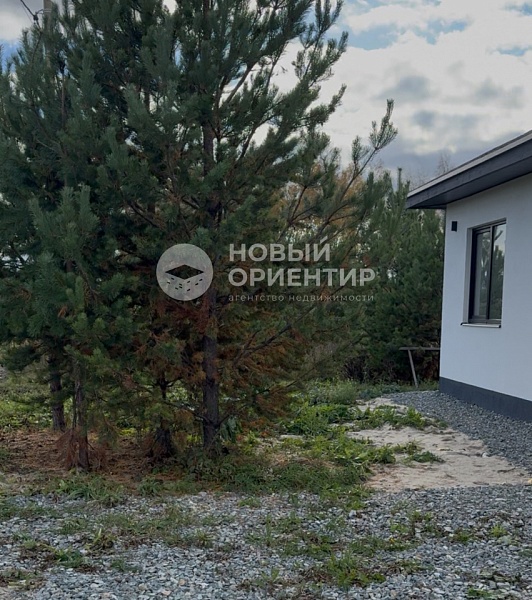 Объявление 221-11772