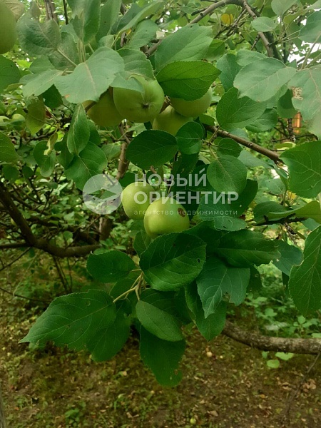 Объявление 221-11853