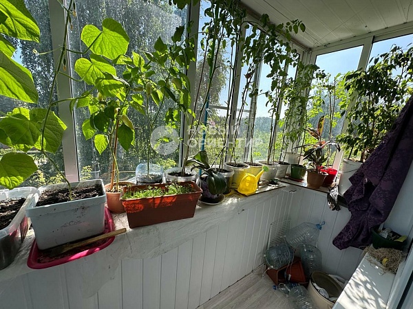 Объявление 221-11506