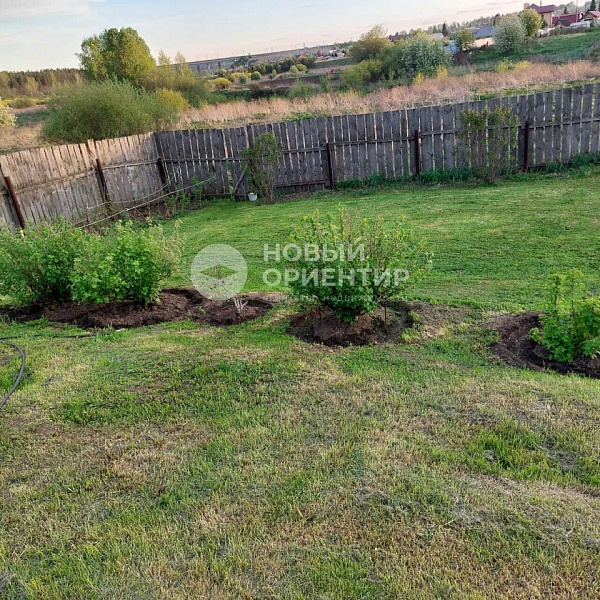 Объявление 221-10325