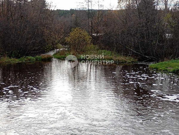 Объявление 221-11778