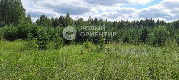 Объявление 221-11125