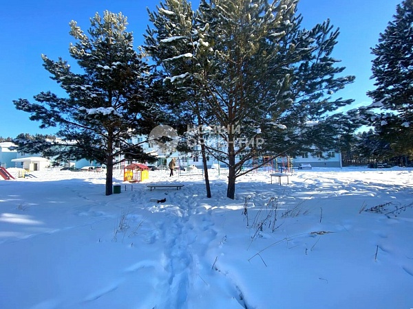 Объявление 221-12212