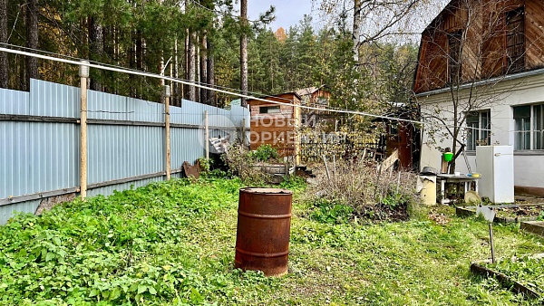 Объявление 221-11810