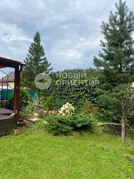 Объявление 221-10819