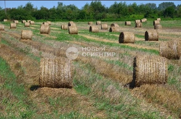 Объявление 221-11607