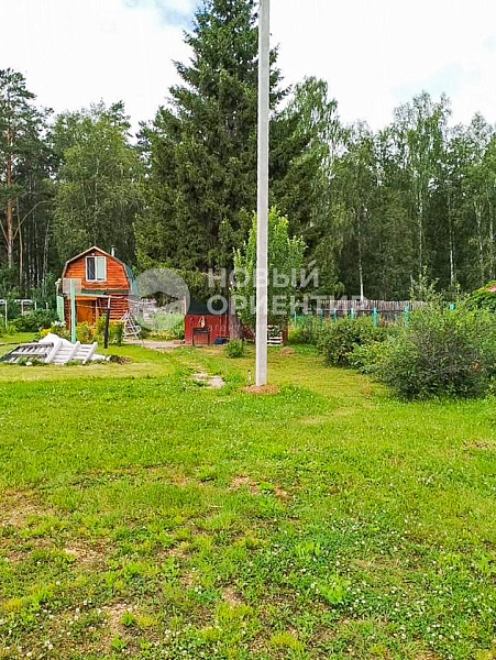 Объявление 221-10919