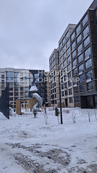 Объявление 221-12001