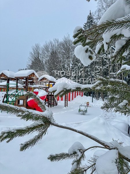 Объявление ==5DJsx3yhb12xx5O