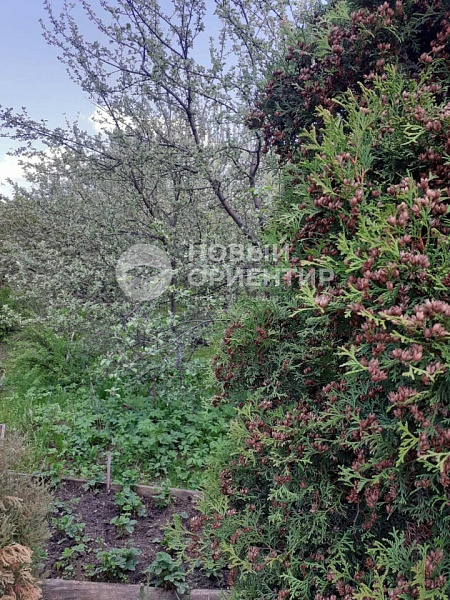 Объявление 221-11853