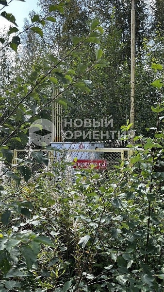 Объявление 221-11055