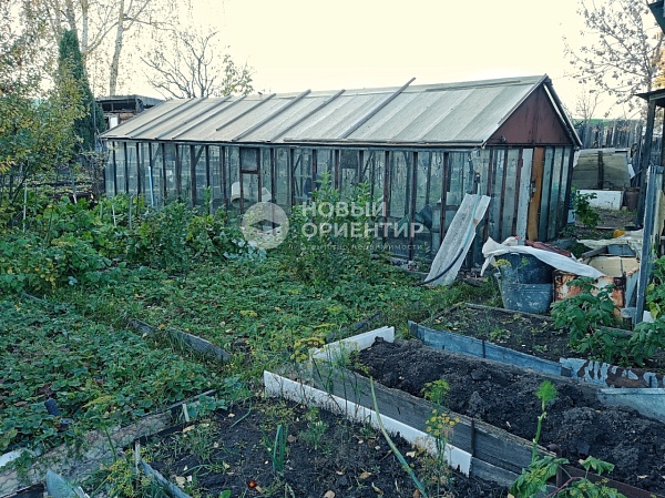 Объявление 221-10064