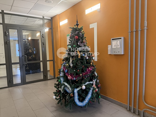 Объявление 221-12222