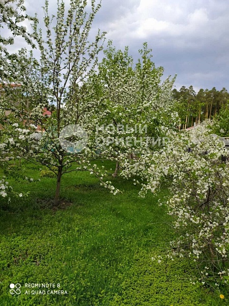 Объявление 221-10666