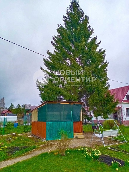 Объявление 221-10919