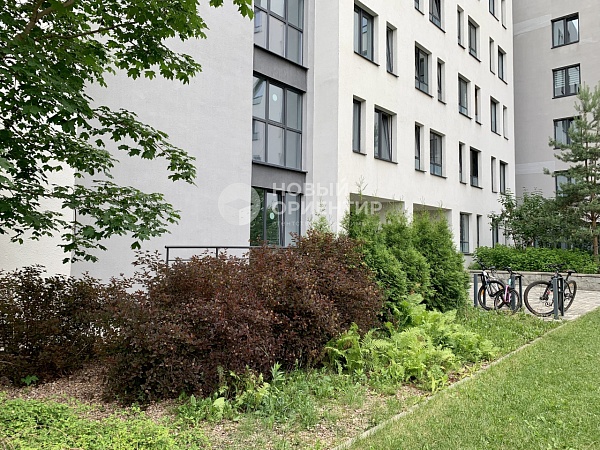 Объявление 221-11429