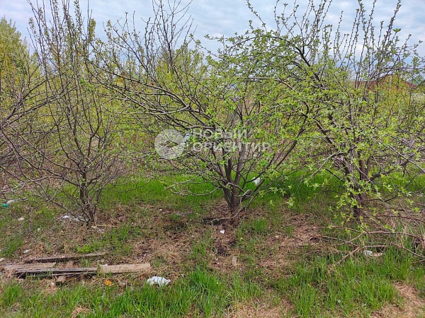 Объявление 221-11986