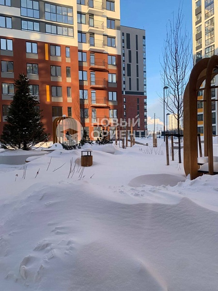 Объявление 221-12246