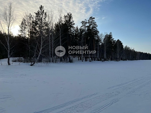Объявление 221-10747