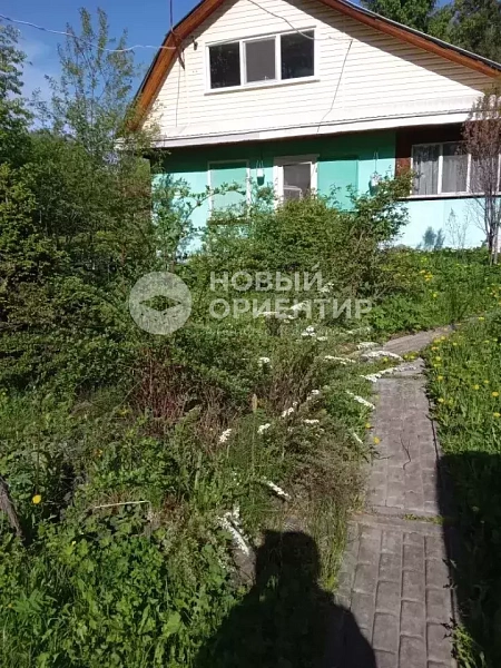 Объявление 221-12342