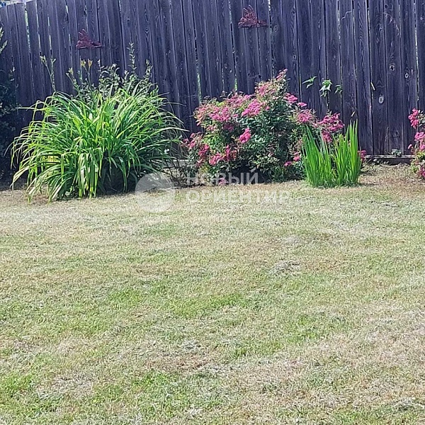 Объявление 221-10325