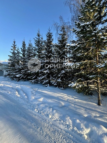 Объявление 221-12152