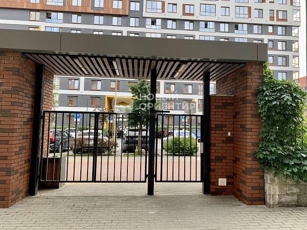 Объявление 221-11429